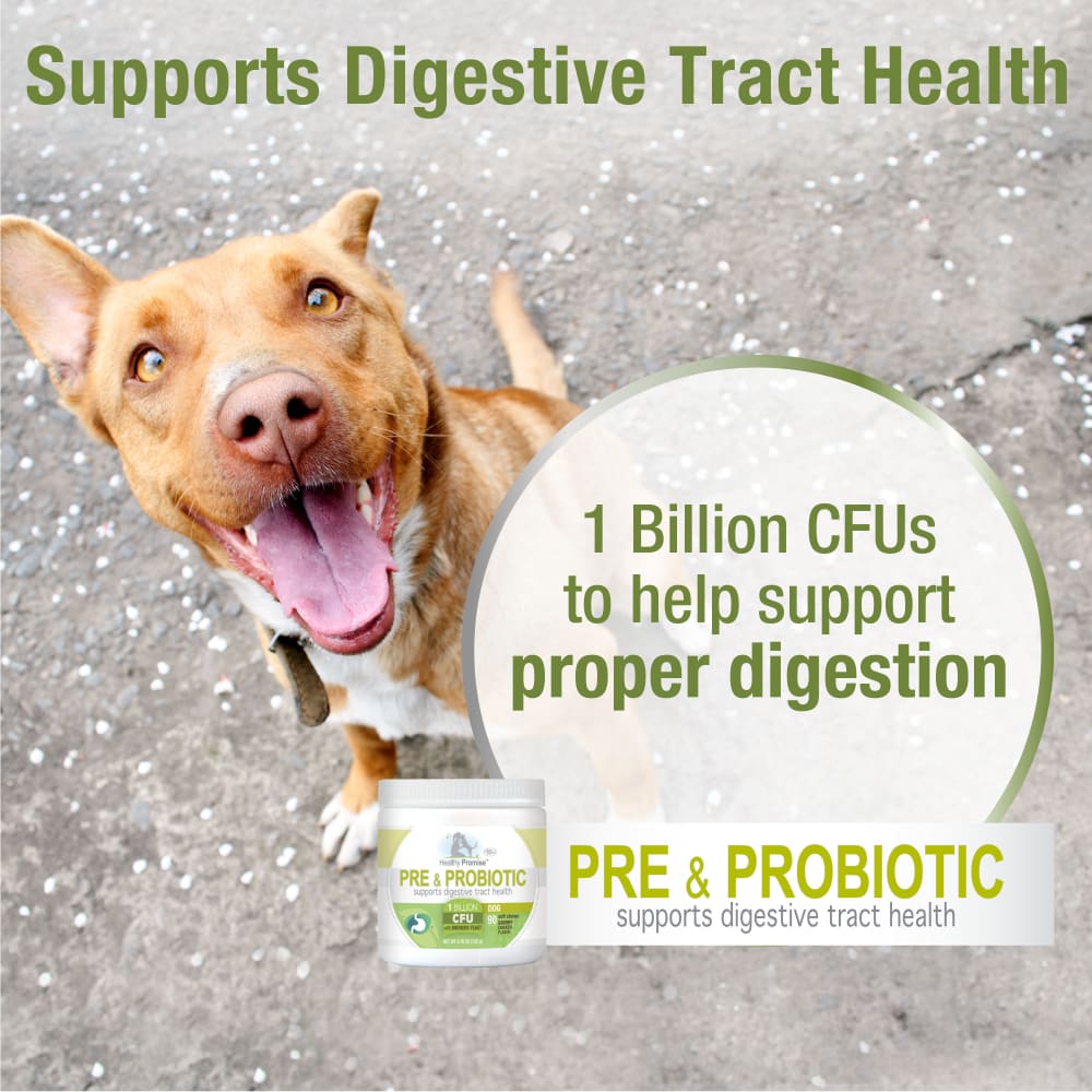 045663975401-fourpaws-healthypromise-dog-preprobioticssoftchews-90ct-features-benefits