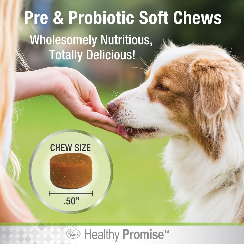 045663975401-fourpaws-healthypromise-dog-preprobioticssoftchews-90ct-lifestyle