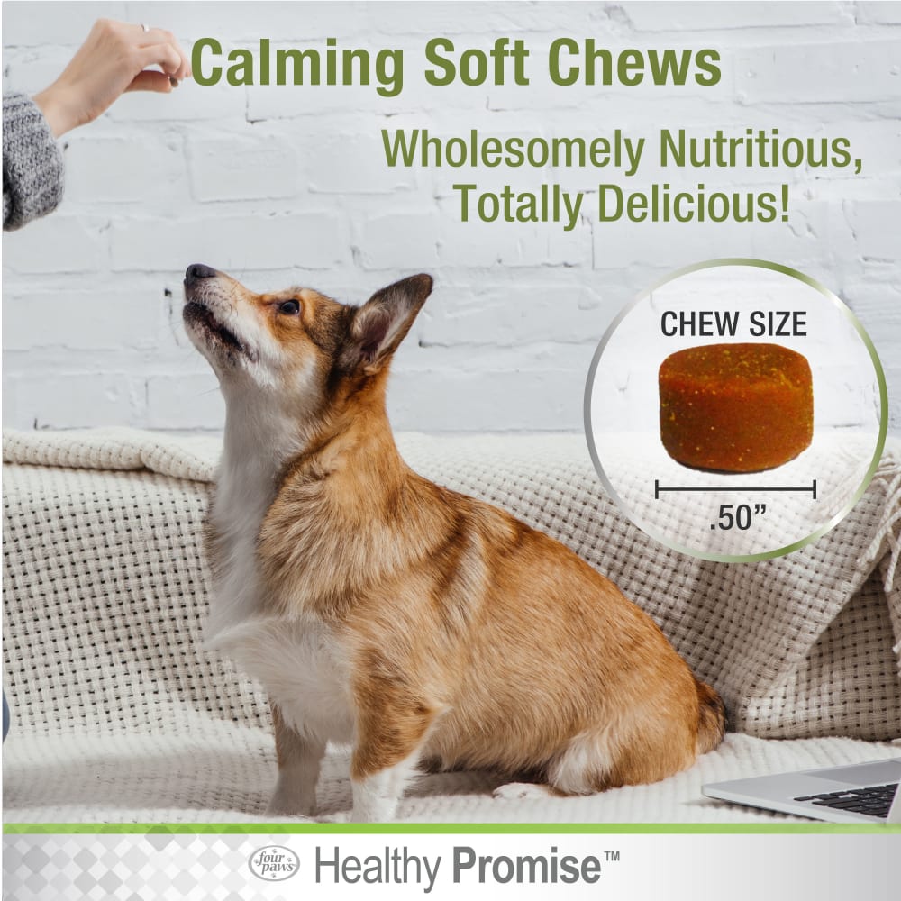 045663975425-fourpaws-healthypromise-dog-calmingsoftchews-90ct-lifestyle
