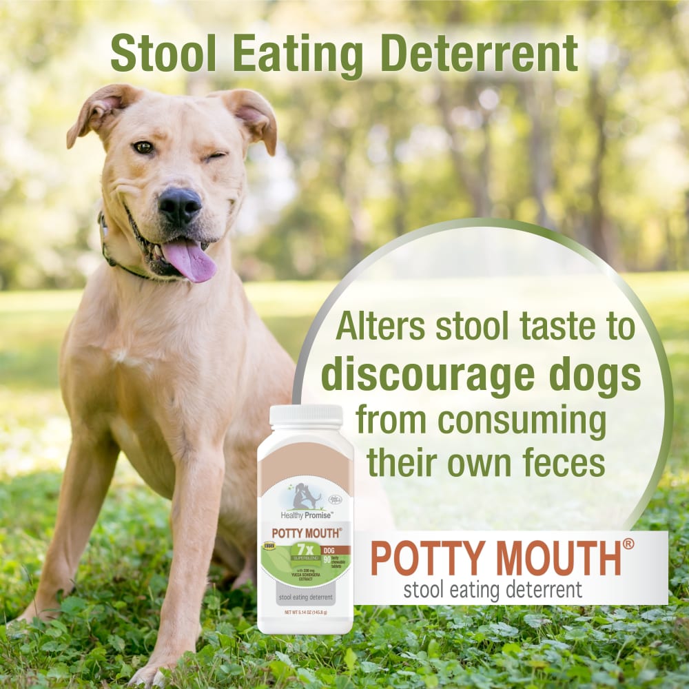045663975449-fourpaws-healthypromise-dog-pottymouthtablets-90ct-features-benefits