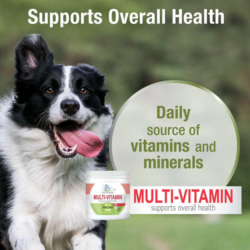 045663975456-fourpaws-healthypromise-dog-multivitaminssoftchews-120ct-features-benefits