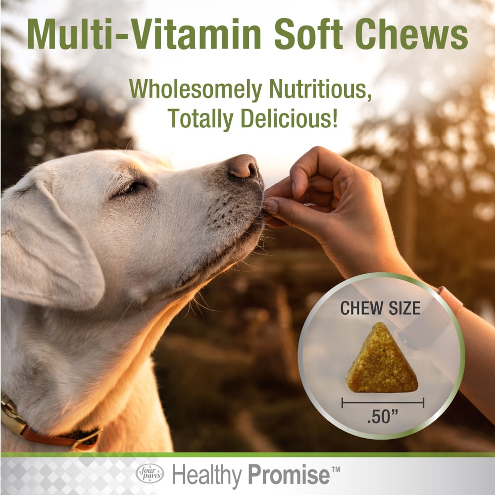 045663975456-fourpaws-healthypromise-dog-multivitaminssoftchews-120ct-lifestyle