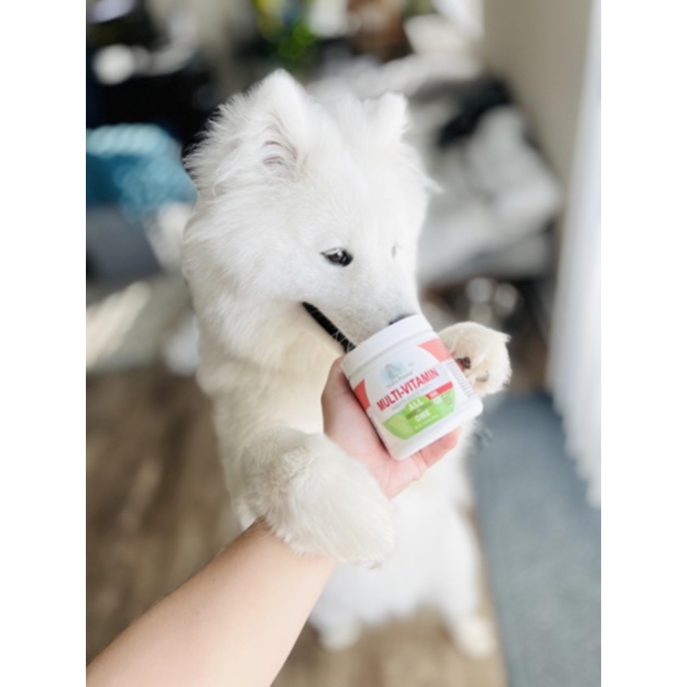 leia-lilybear1-1-1