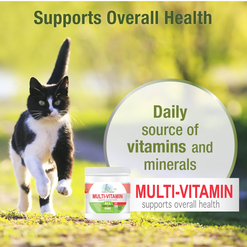 045663975463-fourpaws-healthypromise-cat-multivitaminssoftchews-120ct-features-benefits