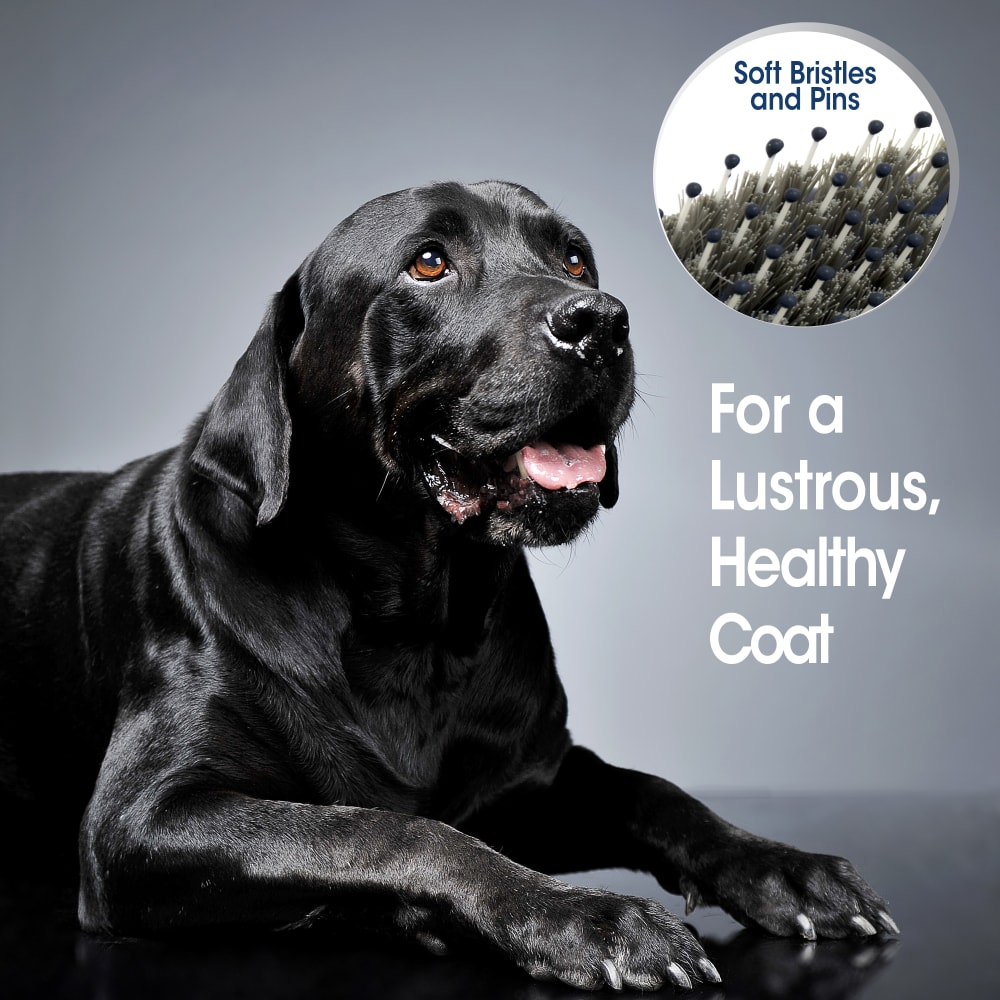 045663975548-four-paws-magic-coat-professional-series-flexihead-bristle-brush-lifestyle