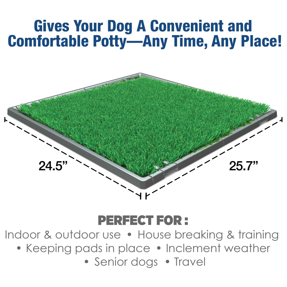 045663974787-four-paws-wee-wee-premium-patch-pet-potty-informationalimage-dims