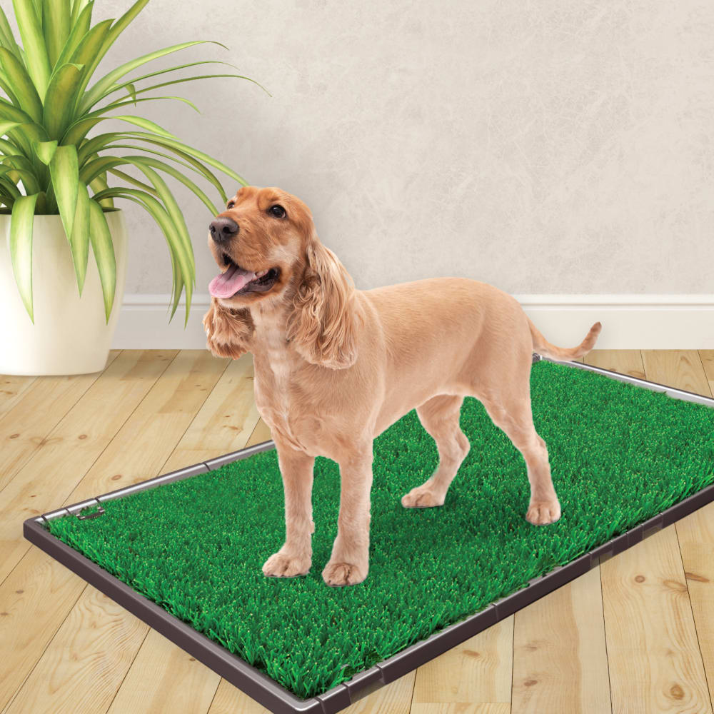 045663974794-four-paws-wee-wee-premium-patch-expansion-kit-lifestyle
