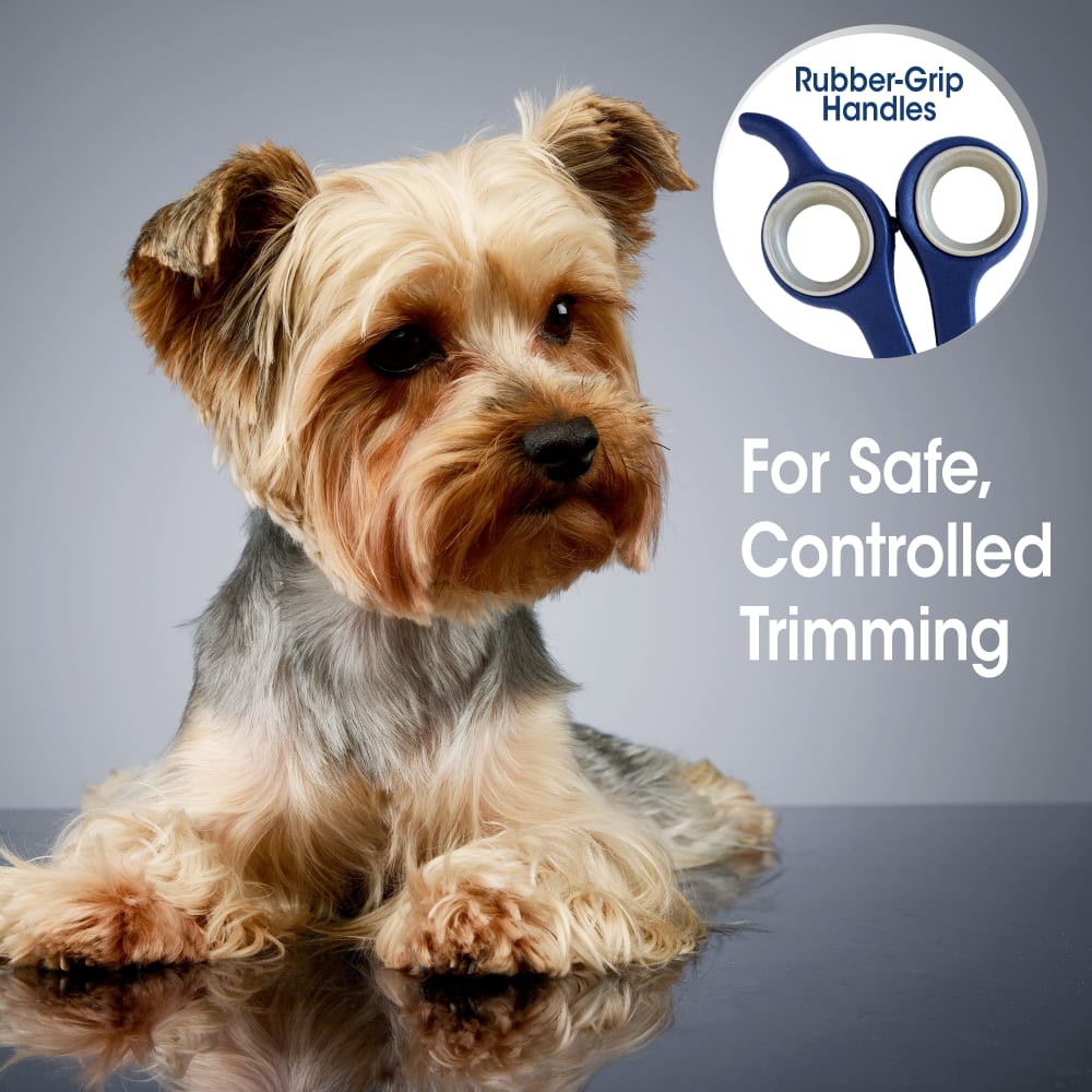 045663971083-four-paws-magic-coat-professional-series-grooming-shears-lifestyle
