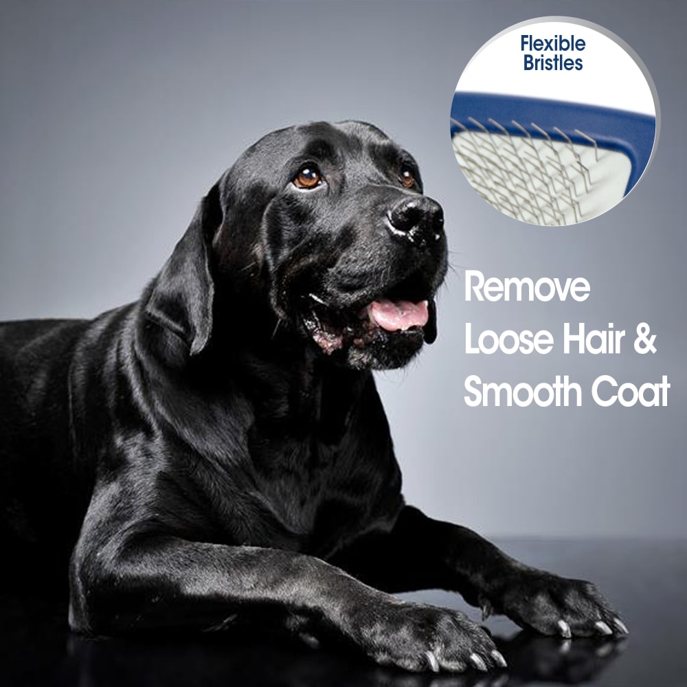 045663971014-fourpaws-professional-series-small-slicker-brush-lifestyle