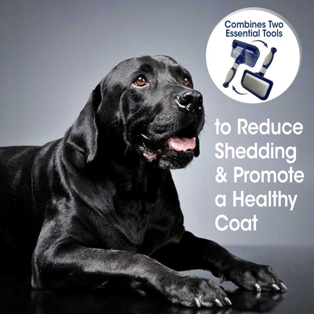 045663112837-four-paws-professional-series-pro-2-in1-brush-thumbnail-lifestyle