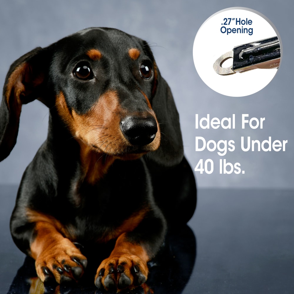 045663971021-fourpaws-professionalseriessmallnailtrimmer-lifestyle
