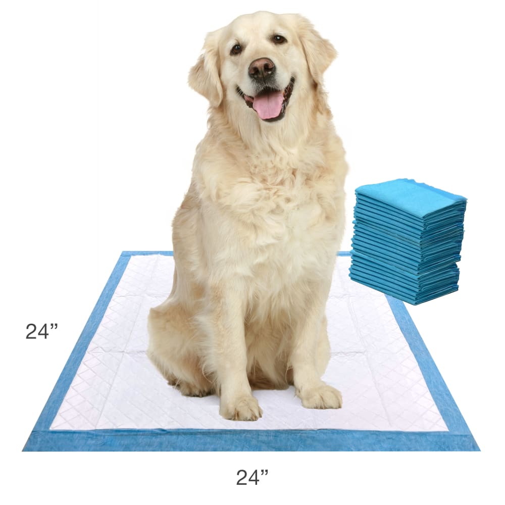 045663971137-four-paws-wee-wee-super-absorbent-22ct-lifestyle