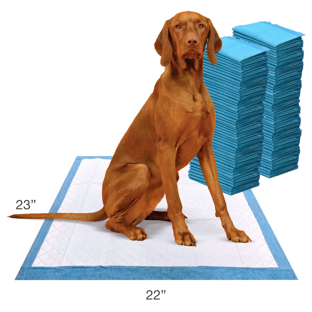 045663970772-four-paws-wee-wee-odor-control-100ct-lifestyle