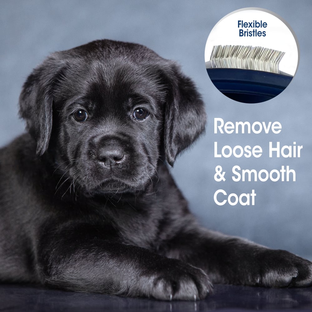 045663113452-fourpaws-comfort-grip-puppy-slicker-brush-lifestyle