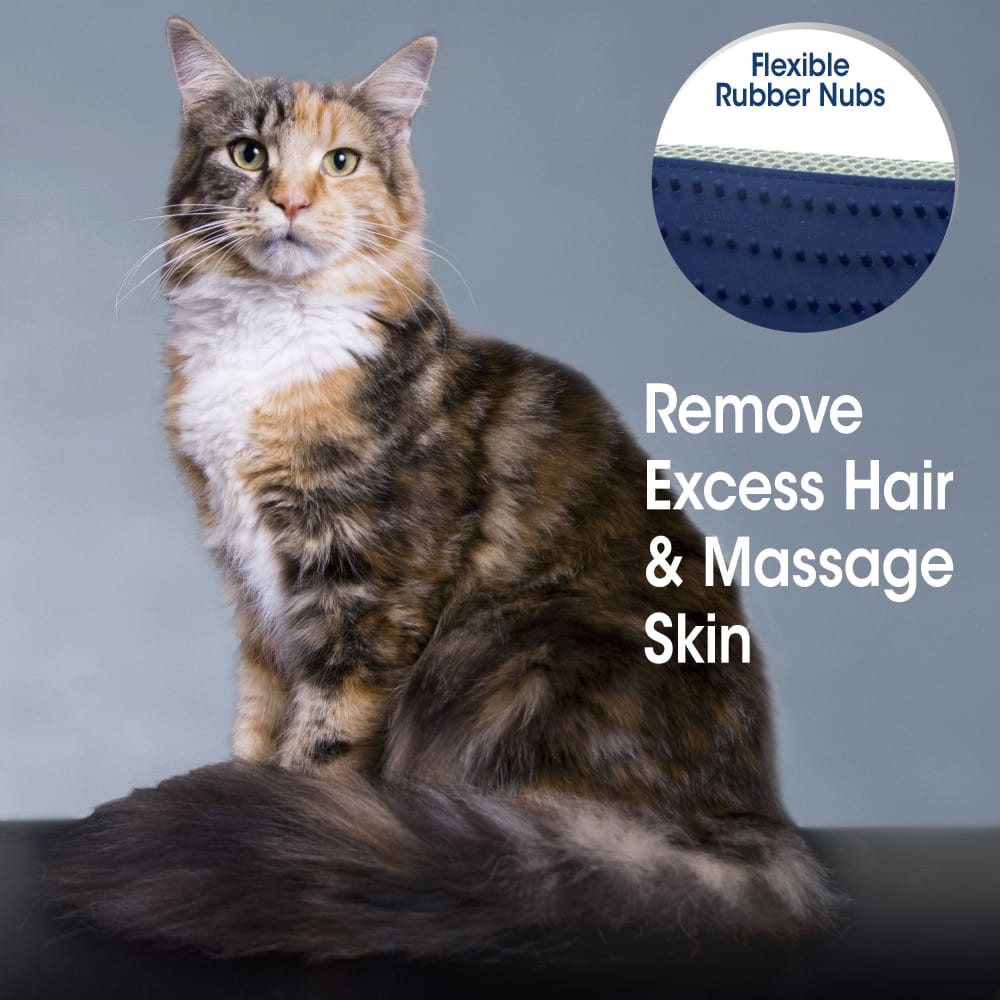 45663018443-four-paws-magic-coat-professional-series-love-glove-cat-lifestyle