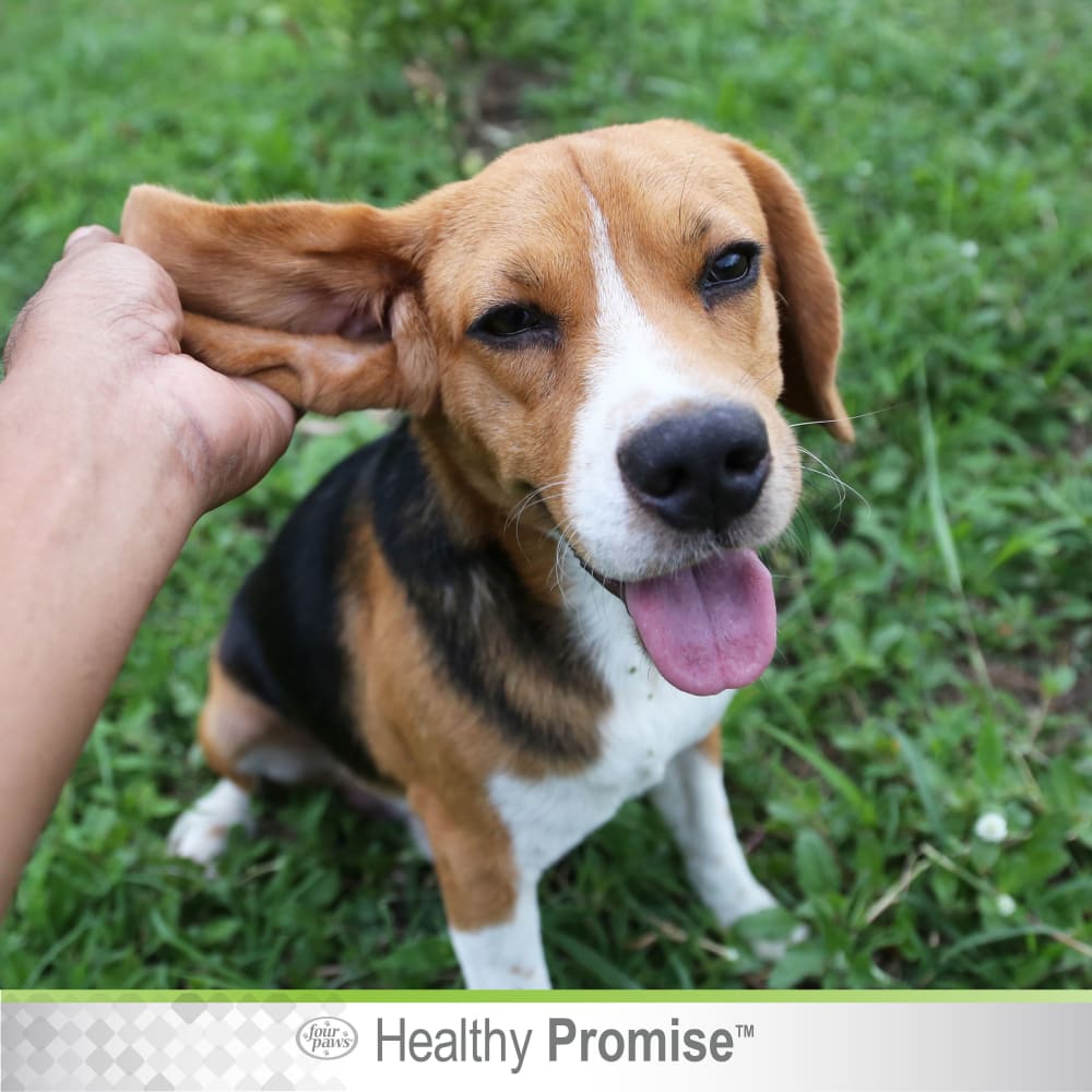 45663975883-four-paws-healthy-promise-earpowder-thumbnail-lifestyle