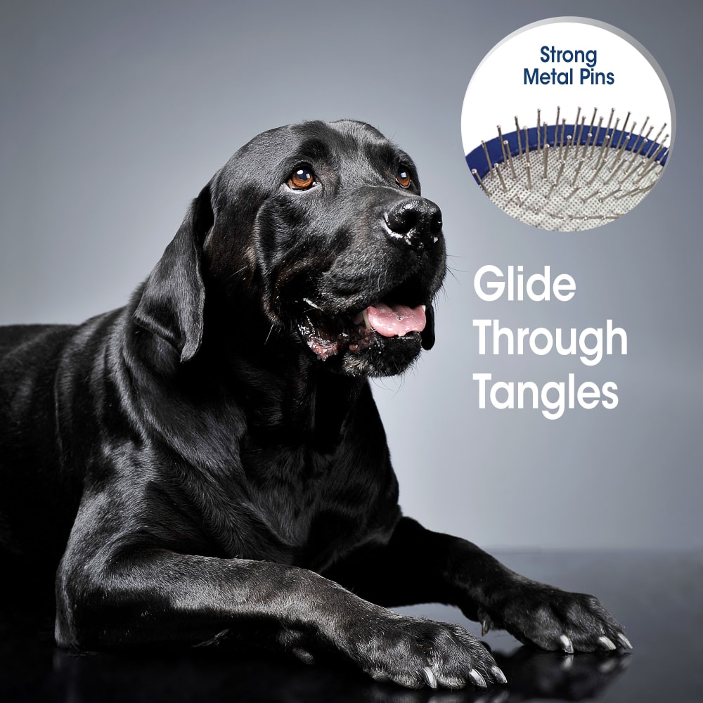 45663970895-fourpaws-comforttipbrush-lifestyle