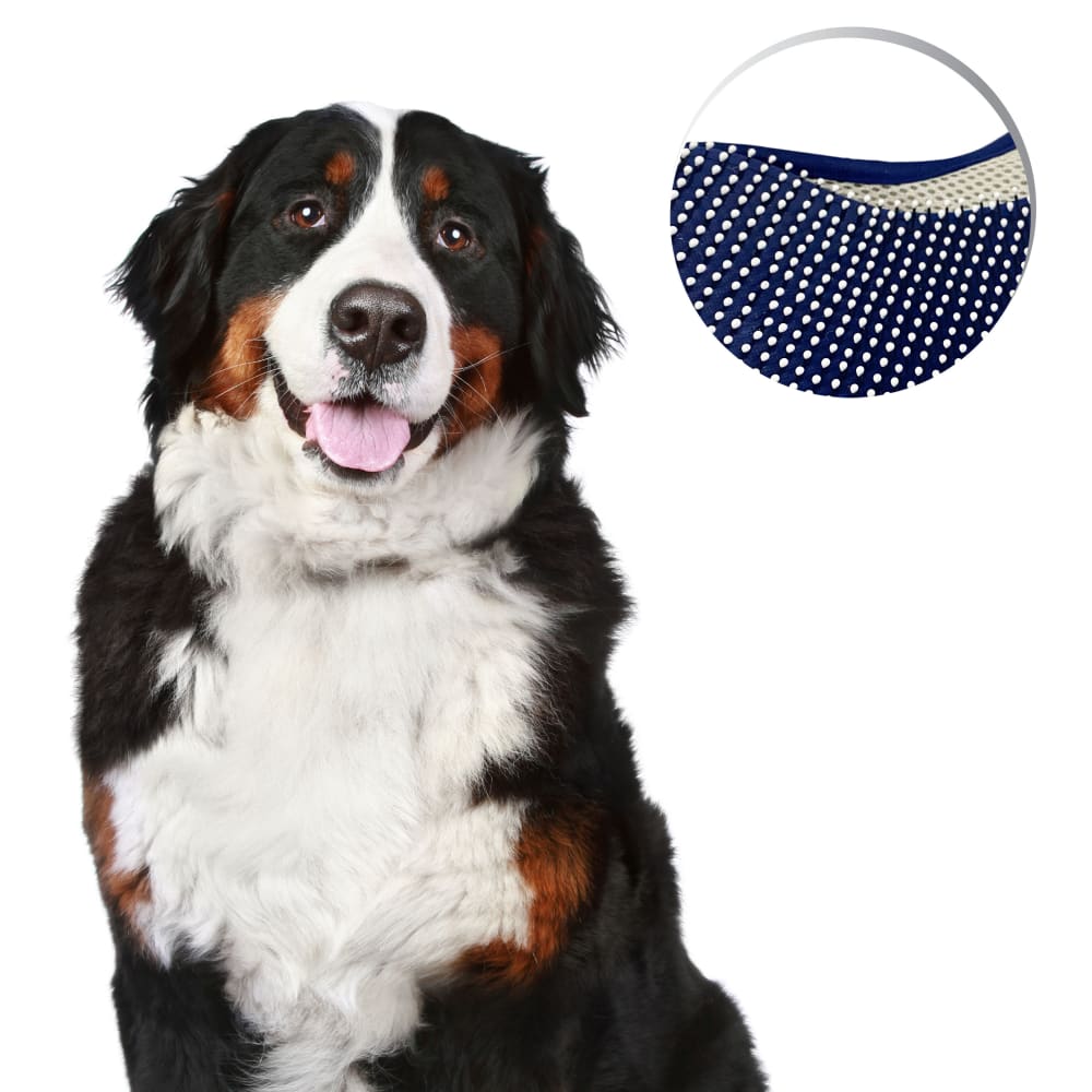 045663976156-fourpaws-dlxloveglove-lifestyle-copy