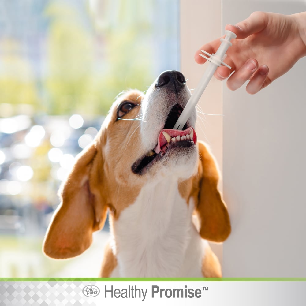 45663019150-four-paws-healthy-promise-pill-dispenser-lifestyle