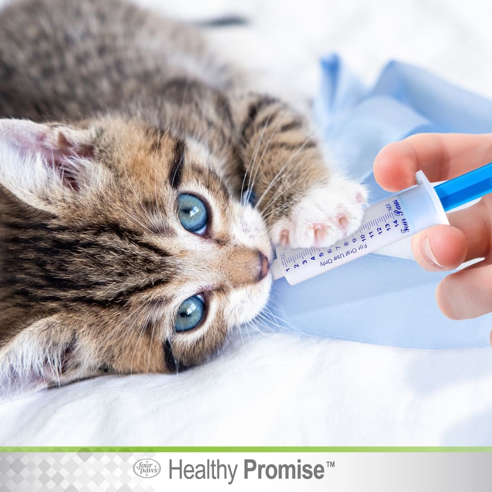 45663191009-four-paws-healthy-promise-easy-feeder-lifestyle