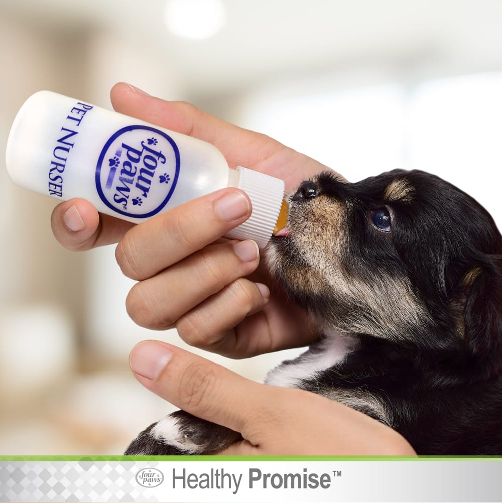 45663000028-four-paws-healthy-promise-pet-nurser-tray-24pk-lifestyle