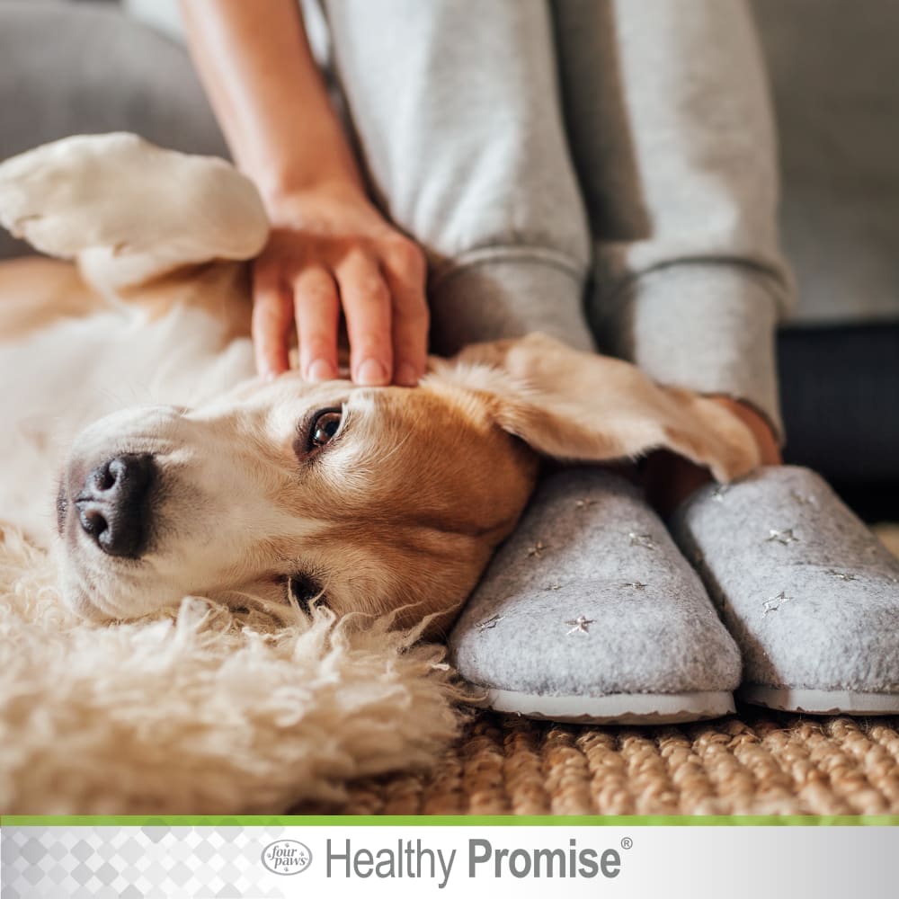 045663976255-four-paws-healthy-promise-ear-wipes-lifestyle