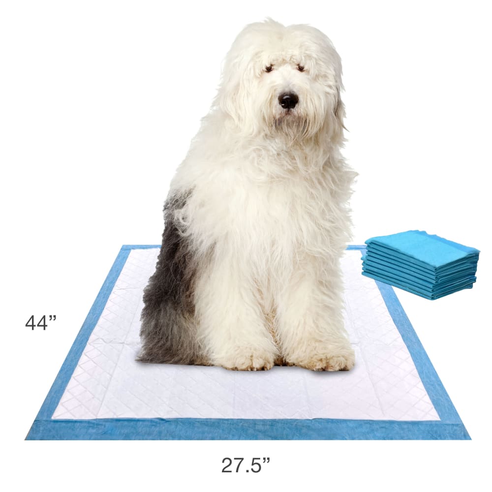 045663016623-four-paws-wee-wee-gigantic-8ct-lifestyle