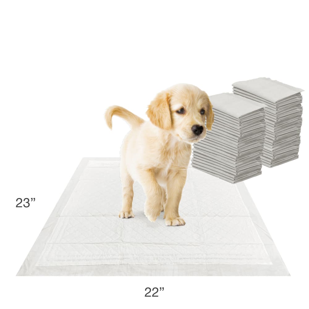 Dog with Four Paws Wee Wee Instarise 50ct