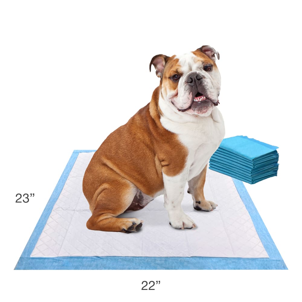045663974381-four-paws-wee-wee-odor-control-10ct-lifestlye