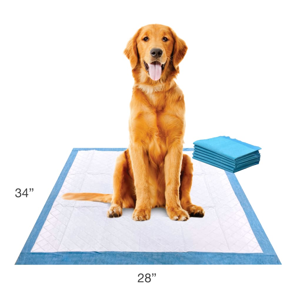 045663016463-four-paws-wee-wee-xl-6ct-lifestyle
