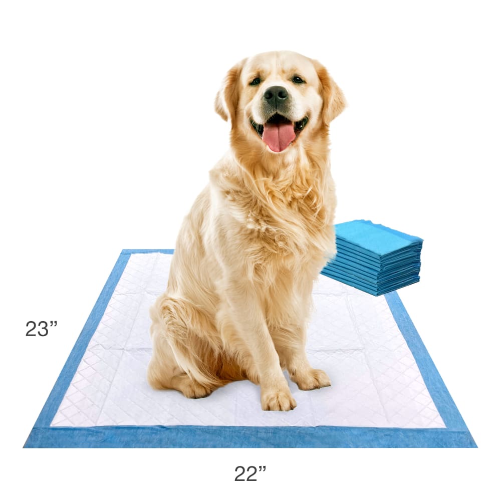 0456631970574-four-paws-wee-wee-standard-10ct-lifestyle