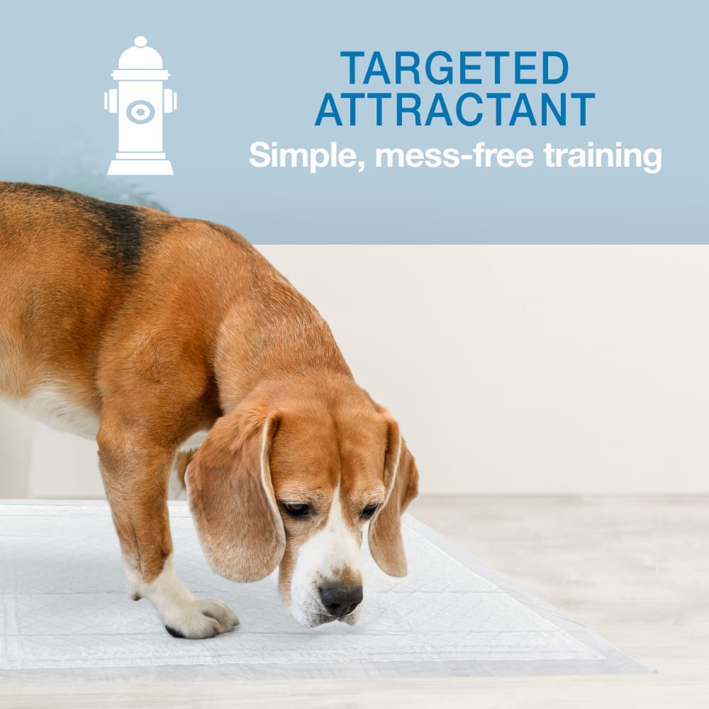 045663974848-four-paws-wee-wee-instarise-10ct-itemattribute-copy-2