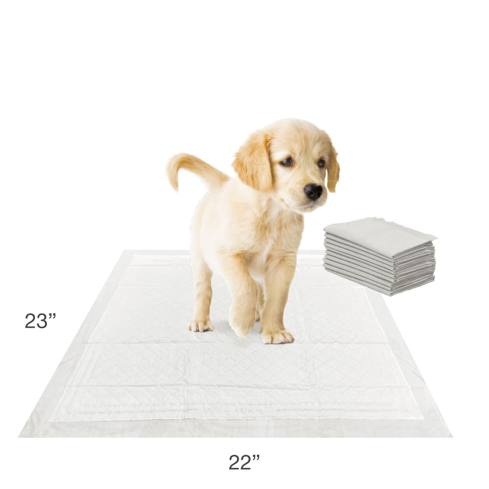 045663974848-four-paws-wee-wee-instarise-10ct-lifestlye