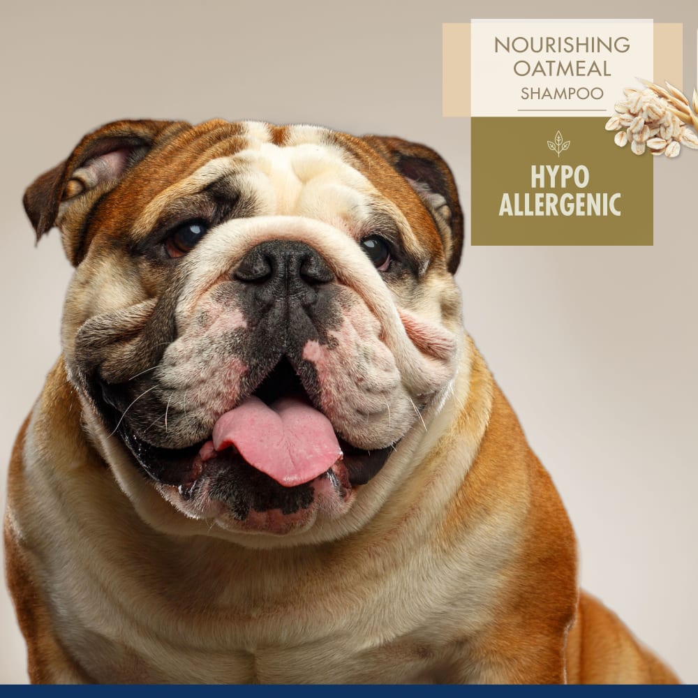 045663976002-fourpaws-hypoallergenicproshampoo-lifestyle