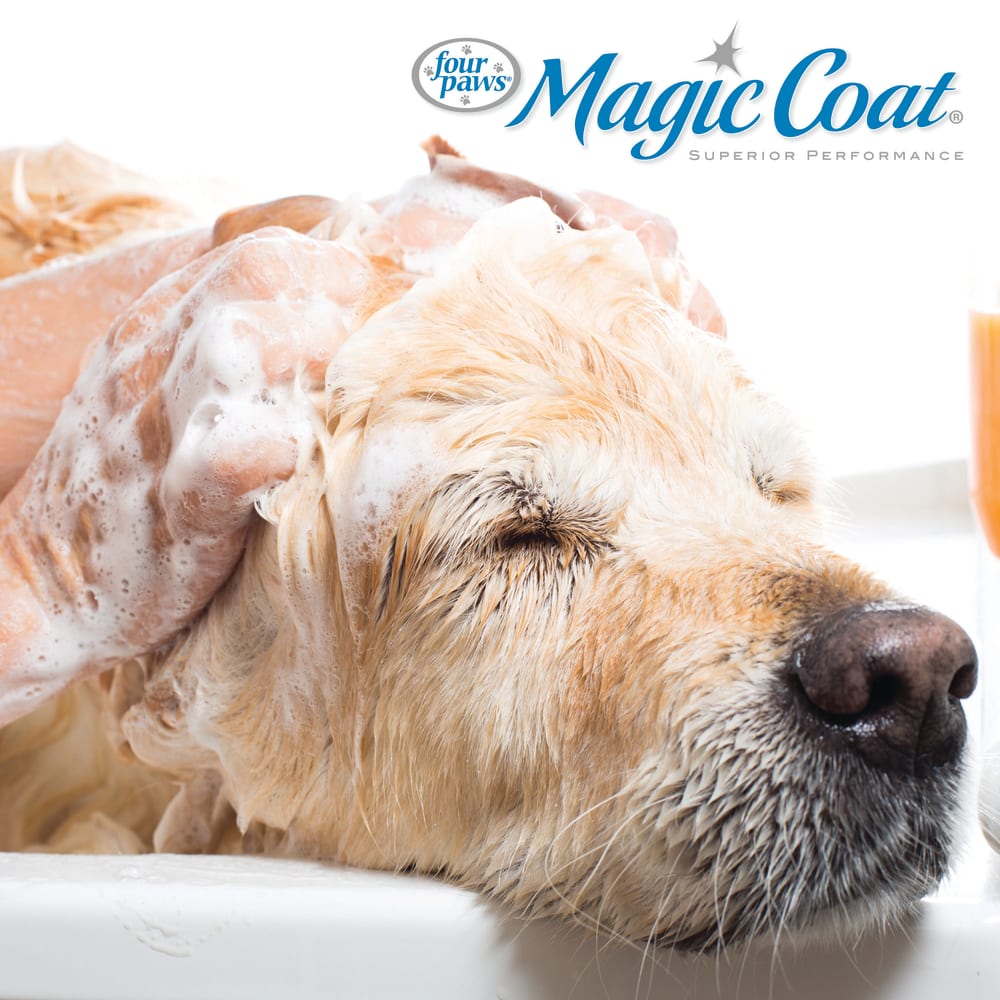 045663970802-four-paws-magic-coat-de-shedding-dog-shampoo-16oz-lifestyle