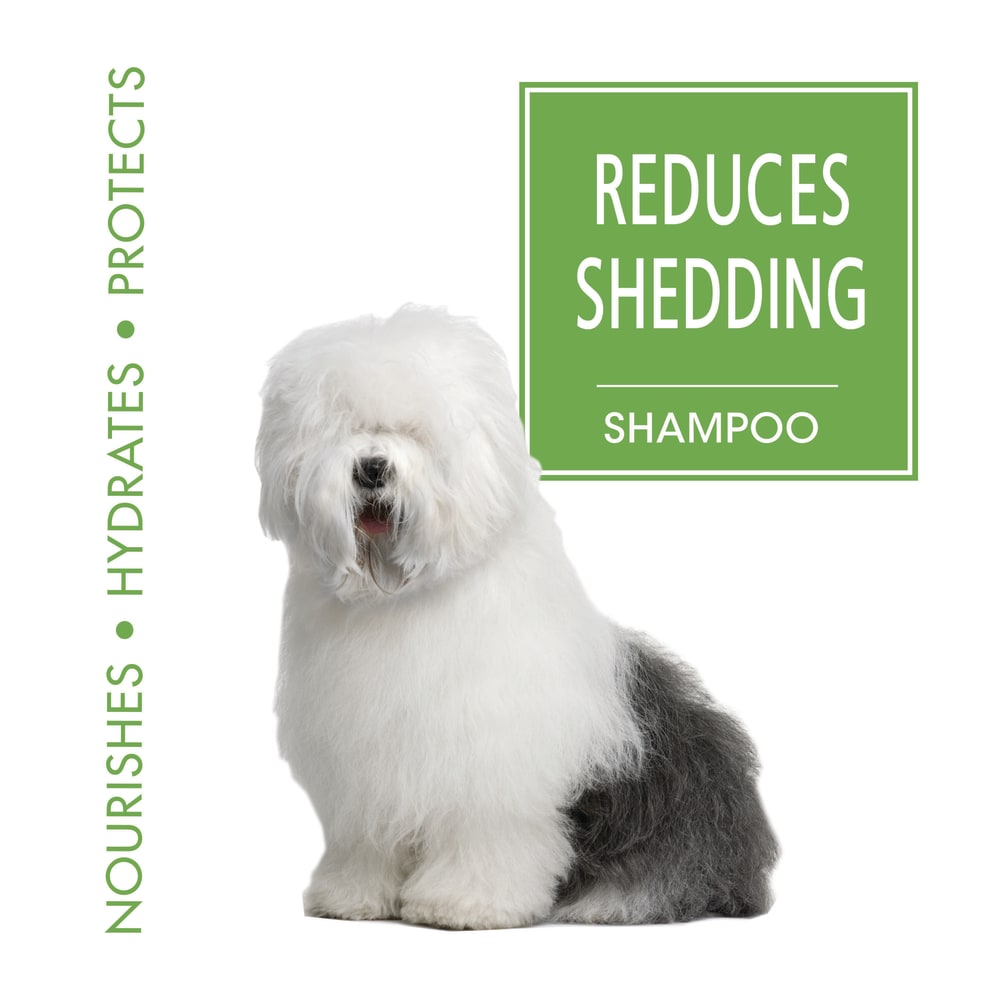 045663970802-four-paws-magic-coat-de-shedding-dog-shampoo-16oz-otherimage