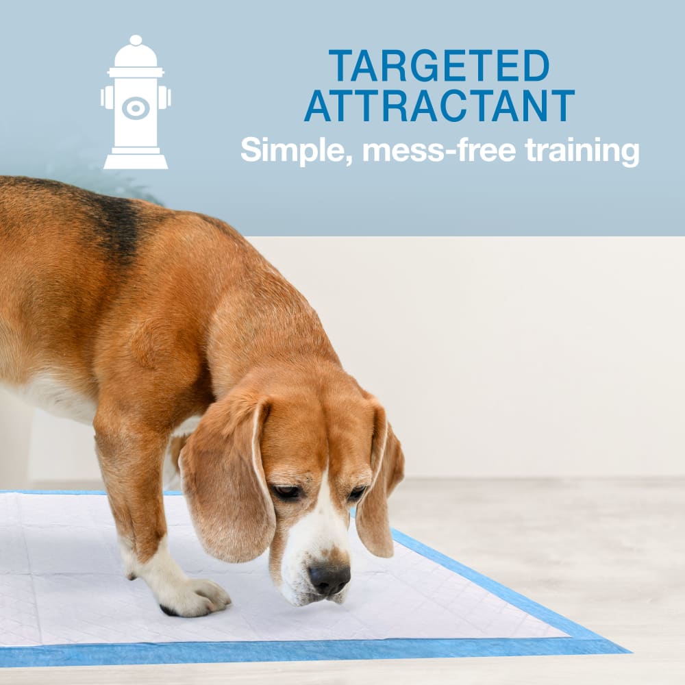 045663016623-four-paws-wee-wee-gigantic-8ct-itemattribute-copy-2