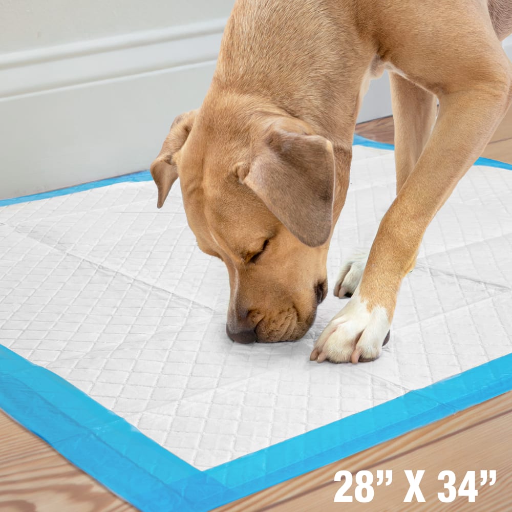 runoff-edge-guard-xl-dimensions