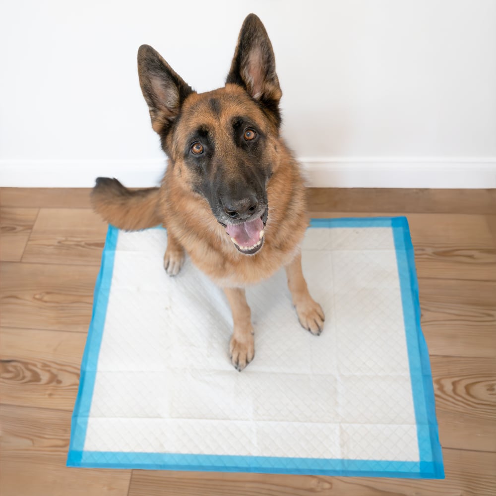 runoff-edge-guard-xl-ugc