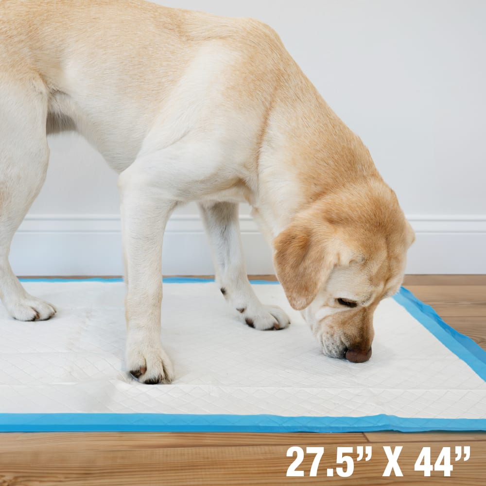 runoff-edge-guard-gigantic-dimensions