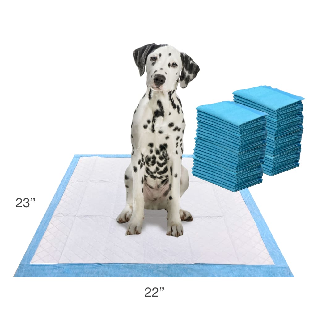 045663975753-four-paws-wee-wee-grass-scent-50ct-lifestlye