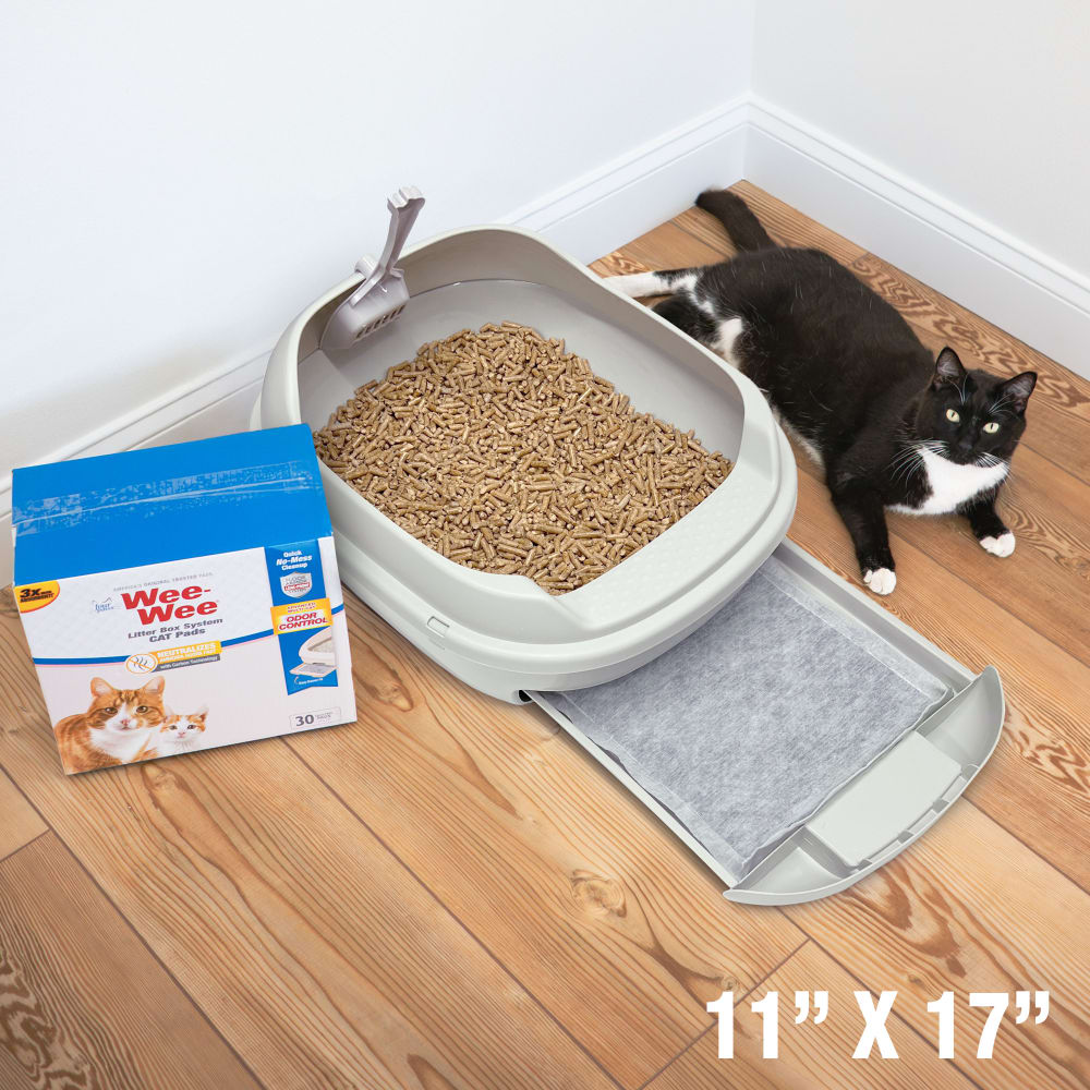 fp-cat-litter-system-dims