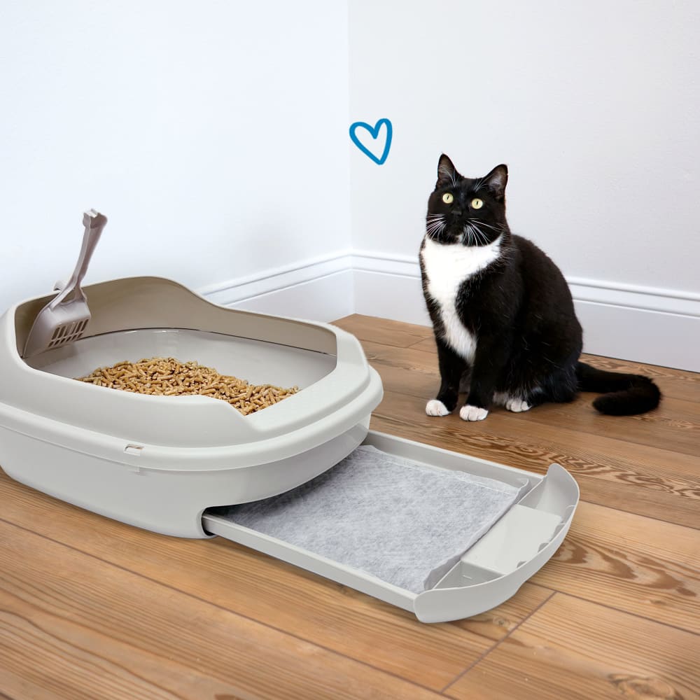 fp-cat-litter-system-ugc