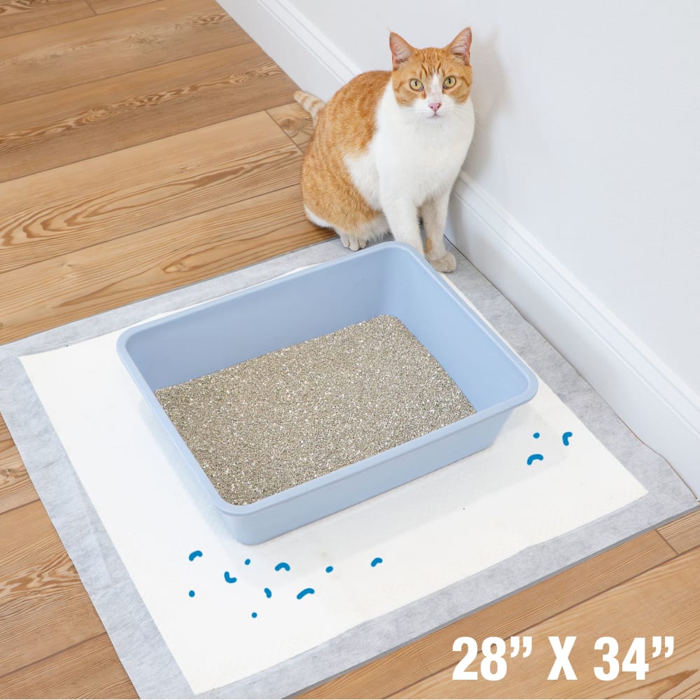 fp-cat-pads-xl-dims