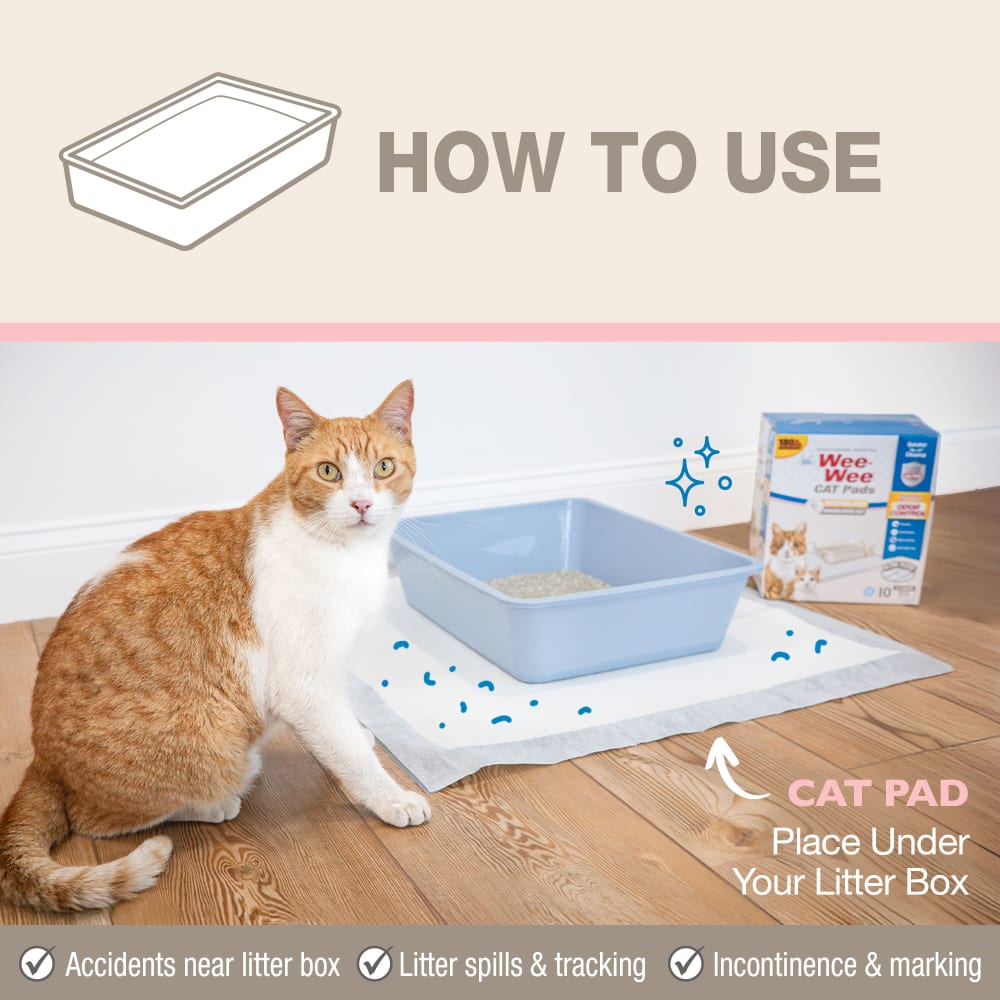 fp-cat-pads-xl-how