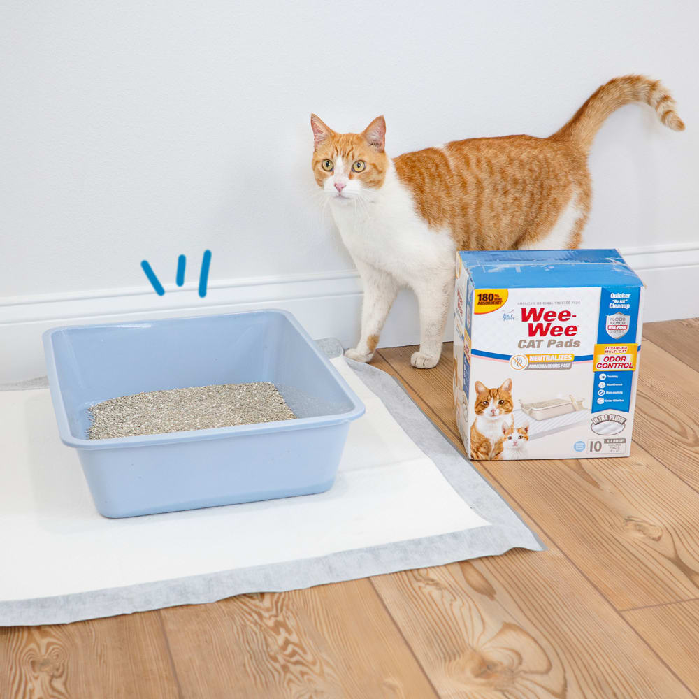 fp-cat-pads-xl-ugc
