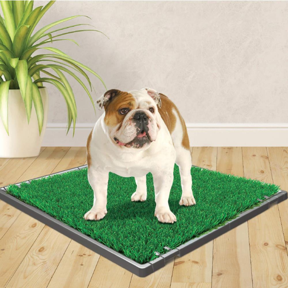 Four Paws Wee-Wee Premium Potty Patch Pee Pad for Dogs 